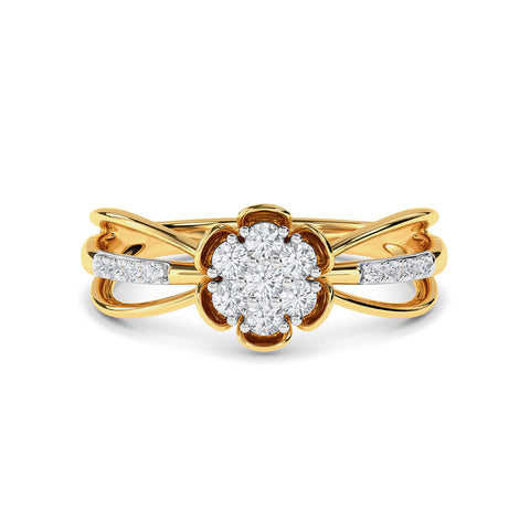 Steven Ring