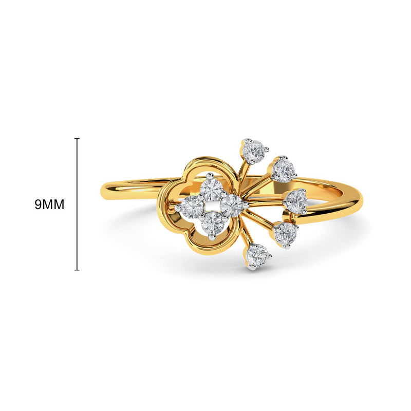 Lisa Ring