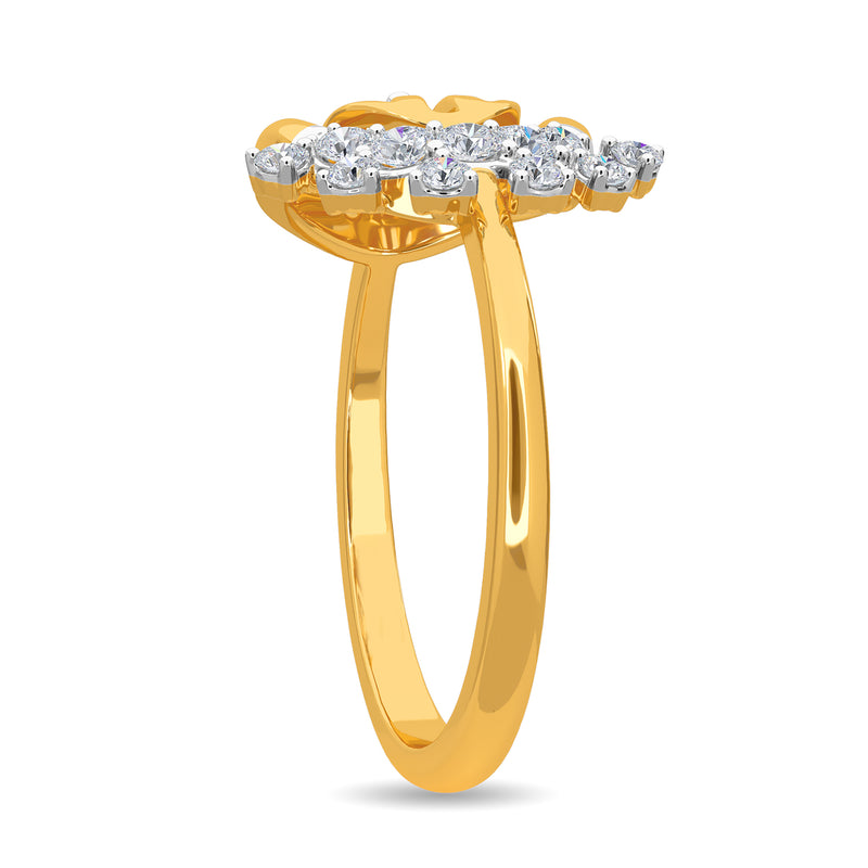 Walter Ring