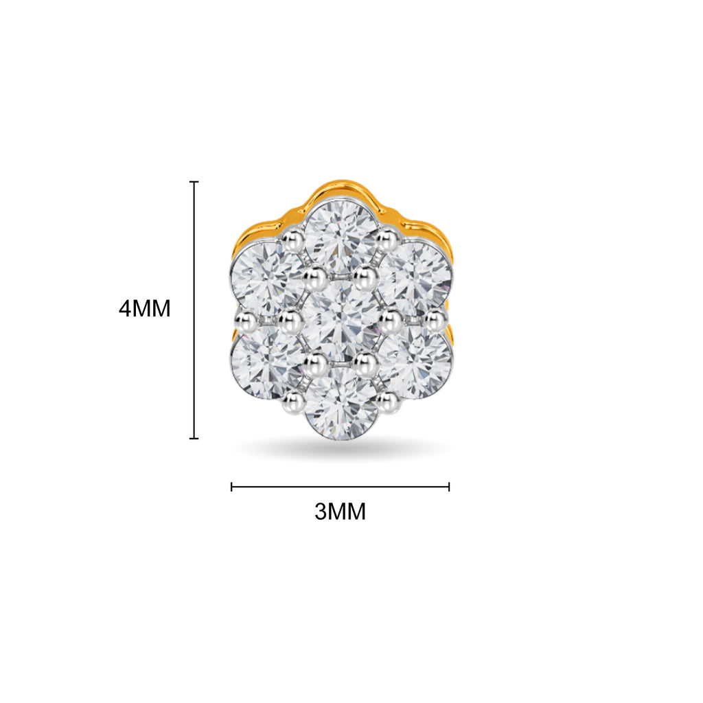 Maliya Earring