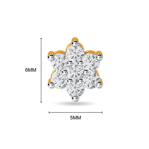 Teeya Earring