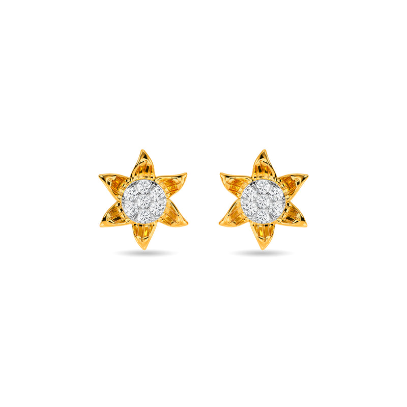 Cambria Earring