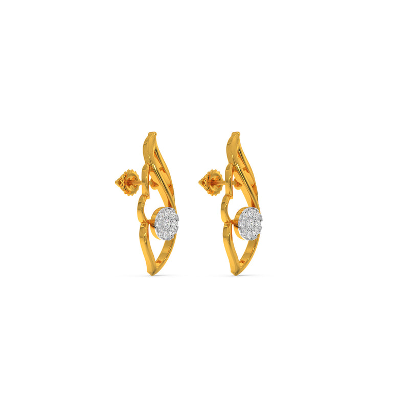 Enhanced Curve Earring