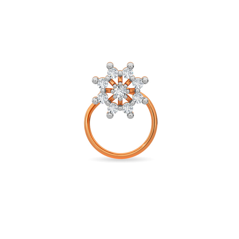 Winter Nose Pin