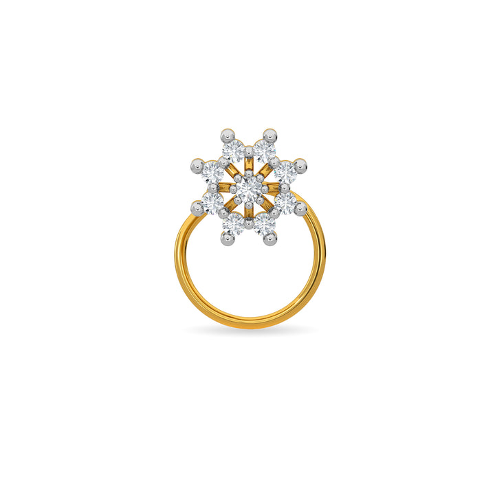 Winter Nose Pin