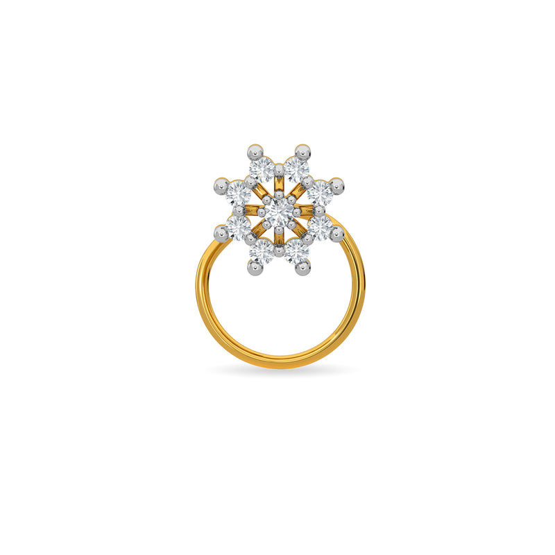 Winter Nose Pin