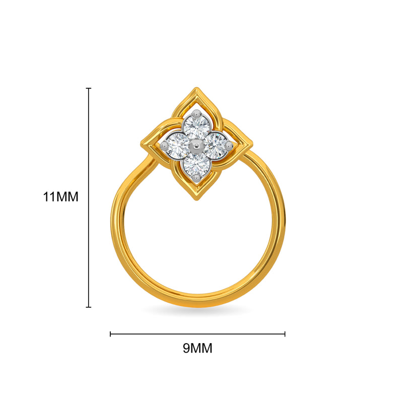 Taila Nose Pin