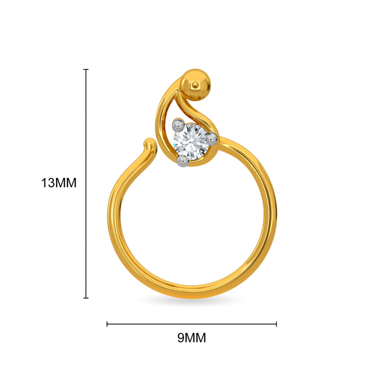 Palmer Nose Pin